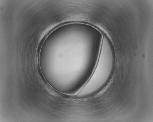 X0000068281077200604210910
