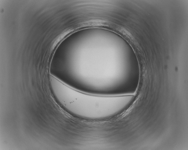 X0000068281081200604210910