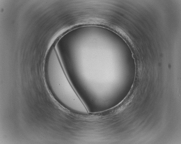 X0000068281085200604210910