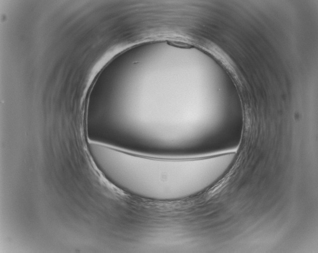 X0000068281102200604210909