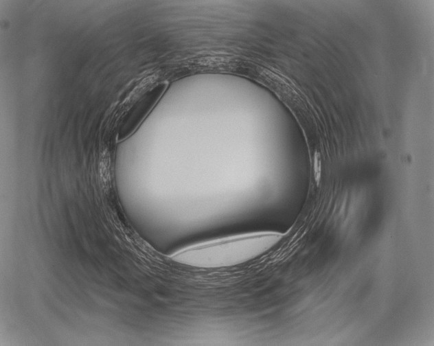 X0000068281107200604210909