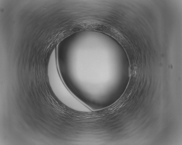 X0000068281108200604210909