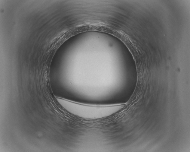 X0000068281110200604210909