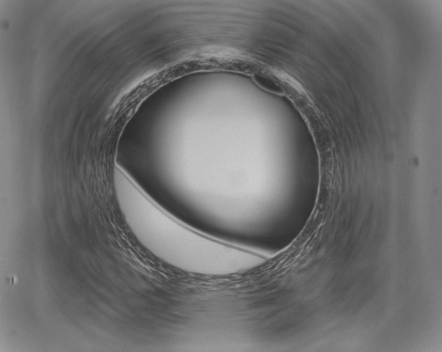 X0000068281112200604210909