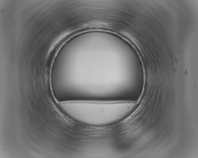 X0000068281115200604210909