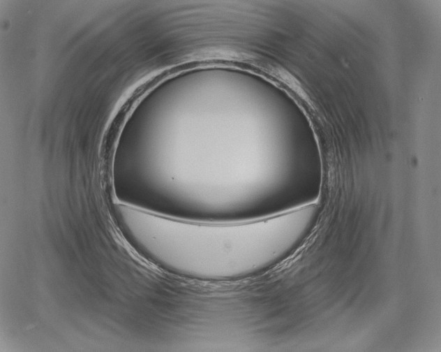 X0000068281116200604210909