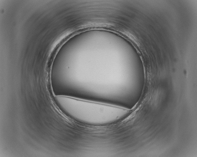 X0000068281119200604210909
