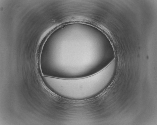 X0000068281120200604210909