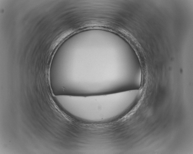 X0000068281121200604210909