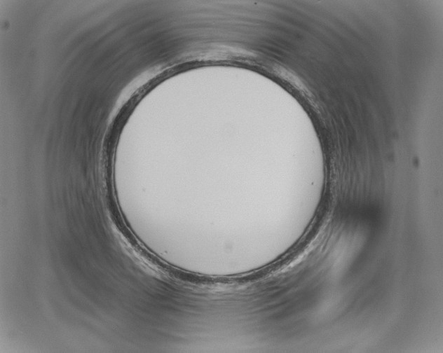 X0000068281122200604210909