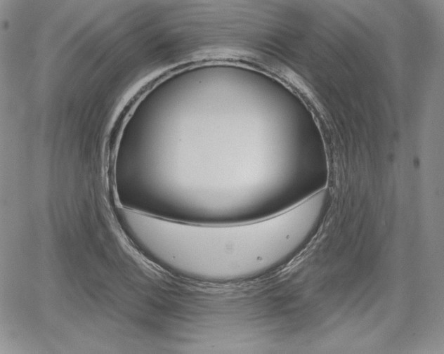 X0000068281124200604210909
