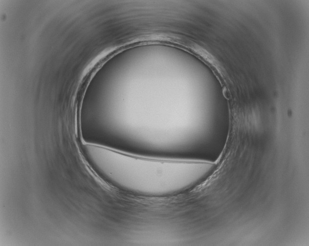 X0000068281127200604210909