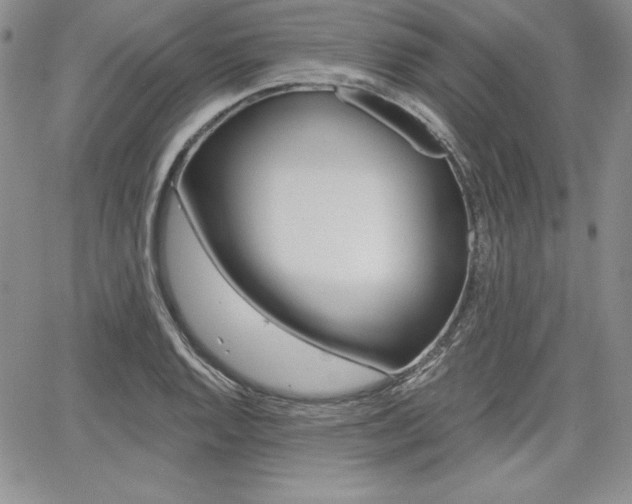 X0000068281128200604210909