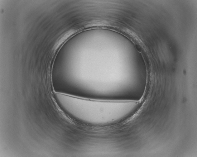X0000068281129200604210909