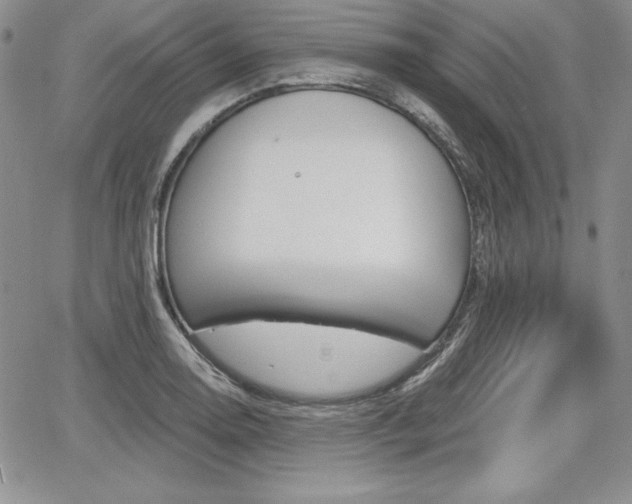 X0000068281130200604210909