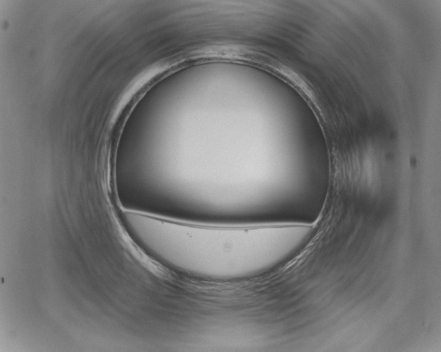 X0000068281131200604210909