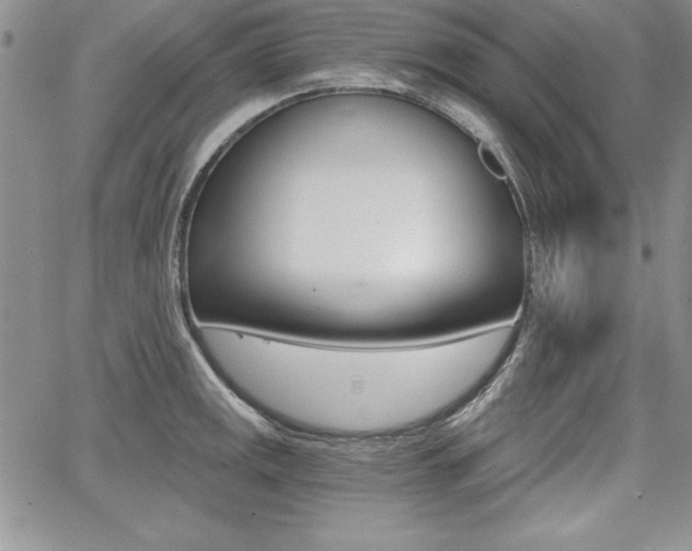 X0000068281141200604210909