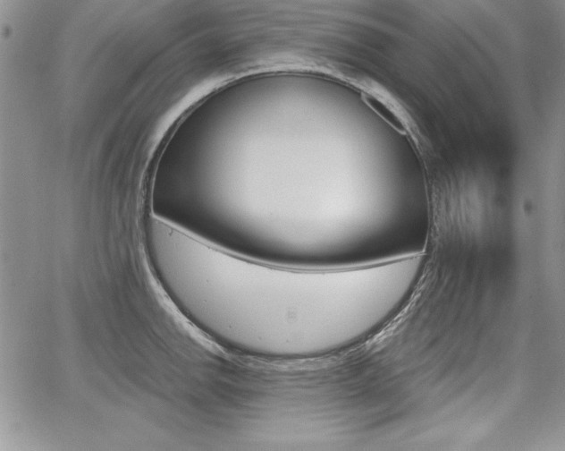 X0000068281142200604210909