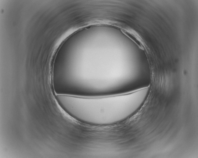 X0000068281143200604210909