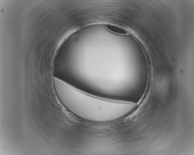 X0000068281145200604210909