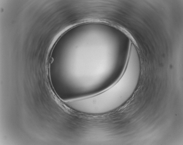 X0000068281148200604210909