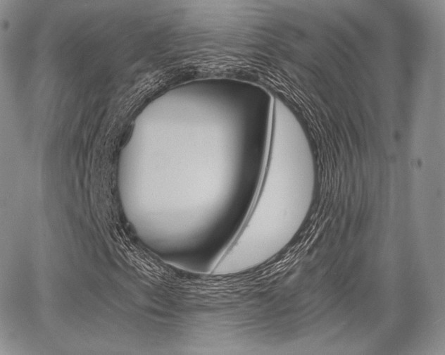X0000068281153200604210909