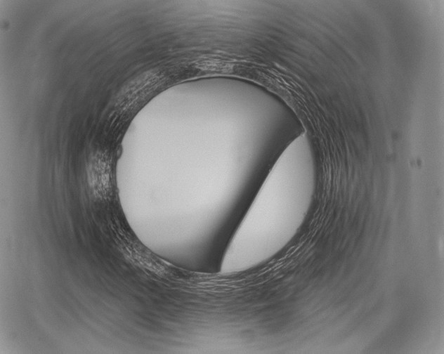 X0000068281154200604210909