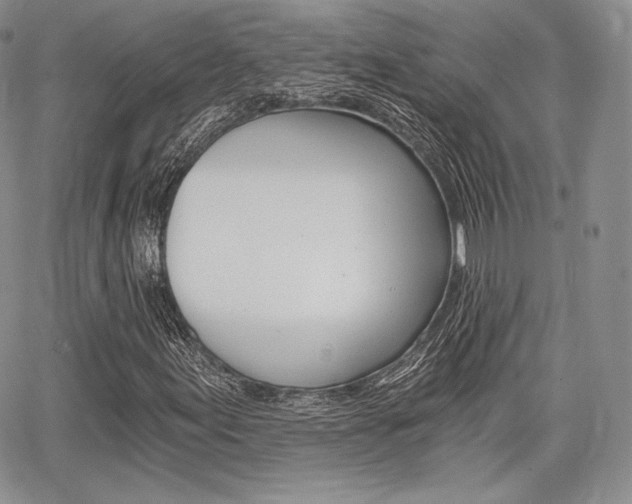 X0000068281155200604210909