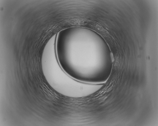 X0000068281202200604210907