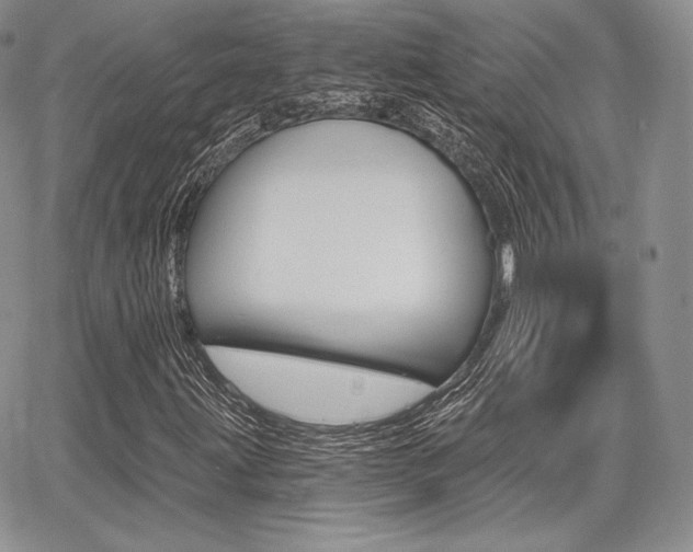 X0000068281203200604210907
