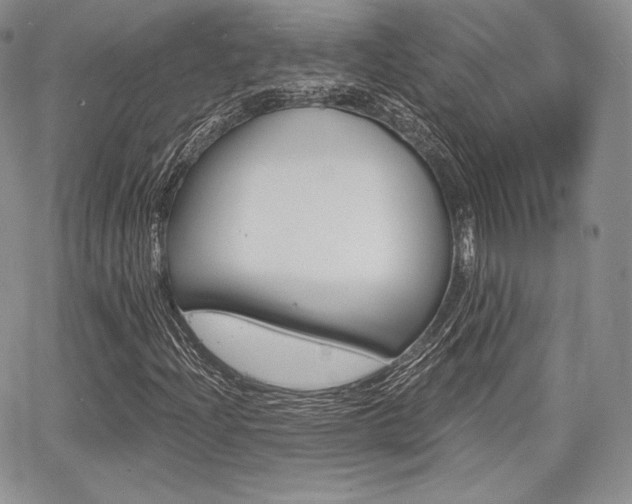 X0000068281204200604210907