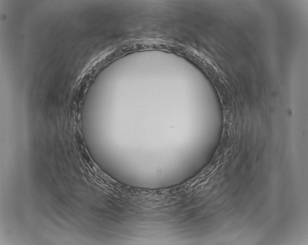 X0000068281207200604210907