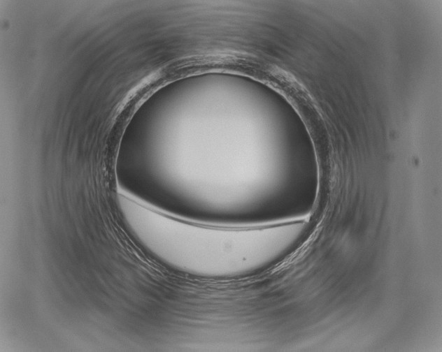 X0000068281210200604210907