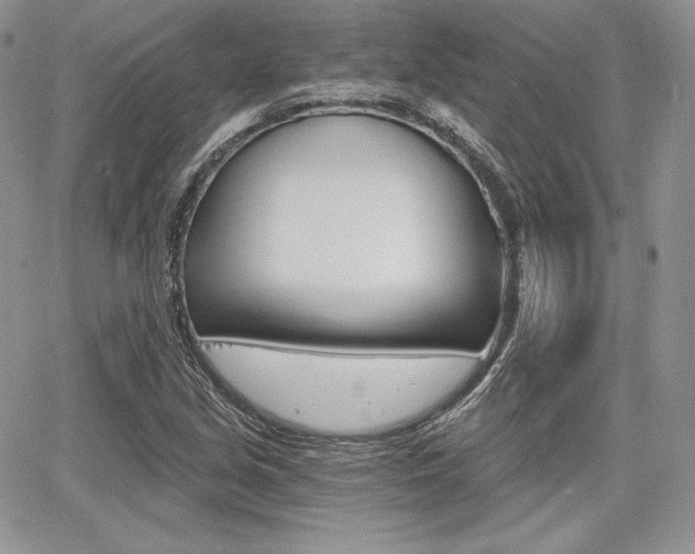 X0000068281213200604210907