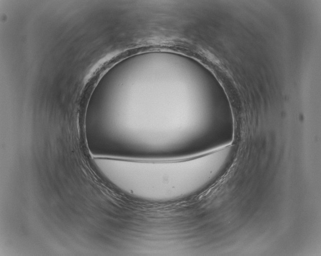 X0000068281214200604210907