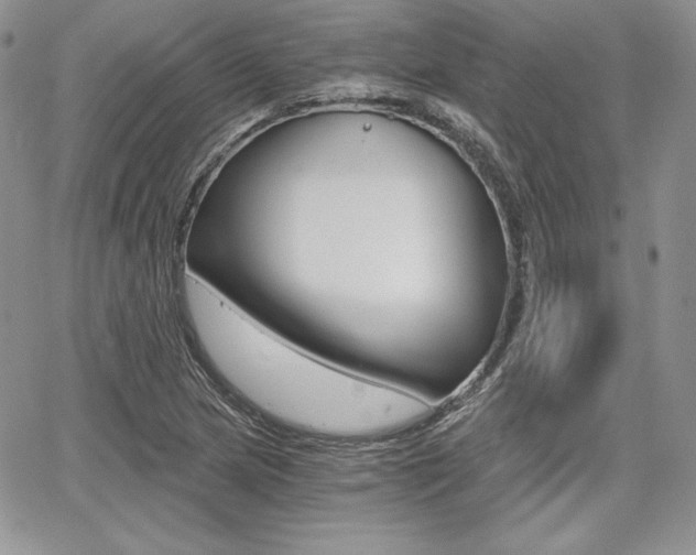 X0000068281217200604210907