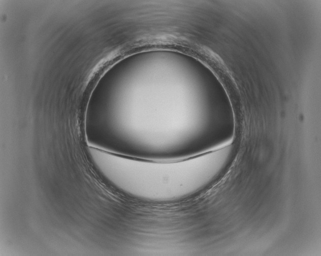 X0000068281218200604210907