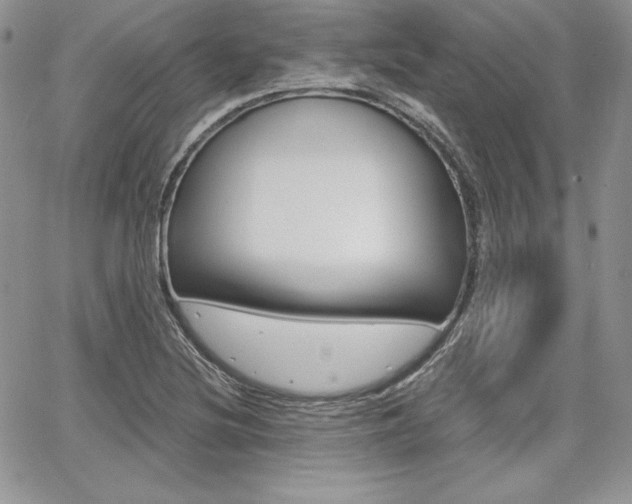 X0000068281220200604210907