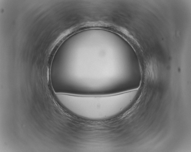 X0000068281221200604210907