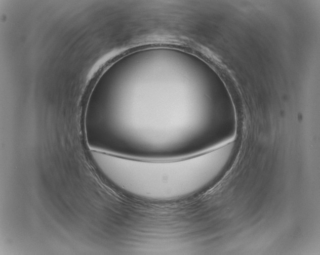 X0000068281222200604210907