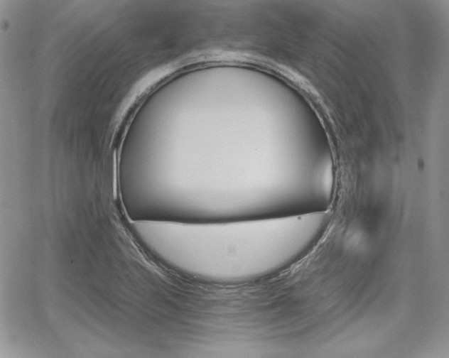 X0000068281223200604210907