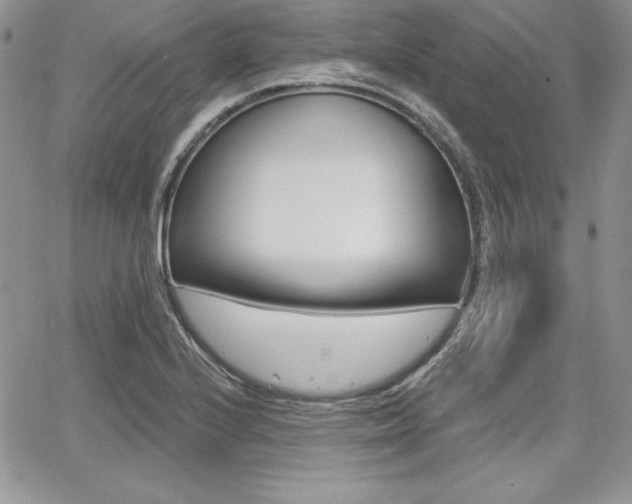 X0000068281224200604210907