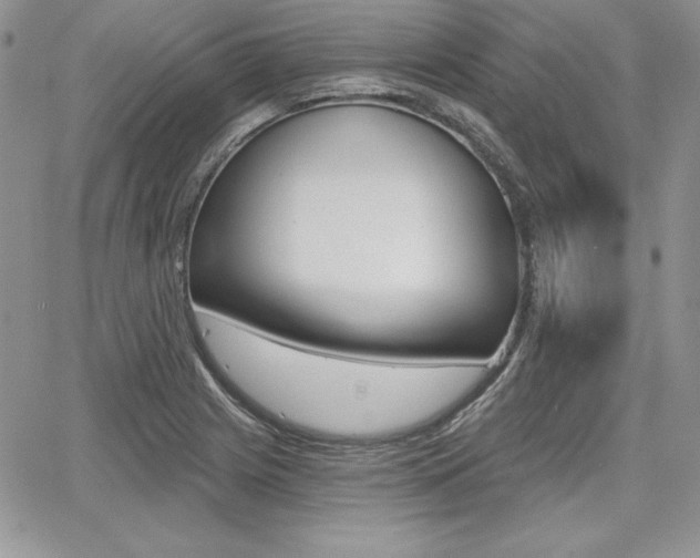 X0000068281225200604210907