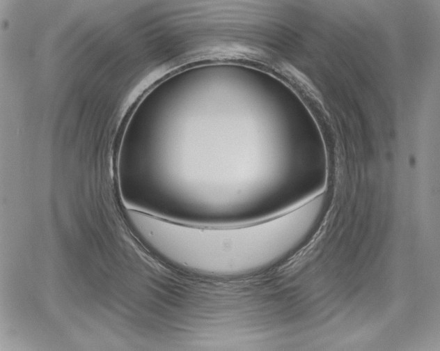 X0000068281226200604210907