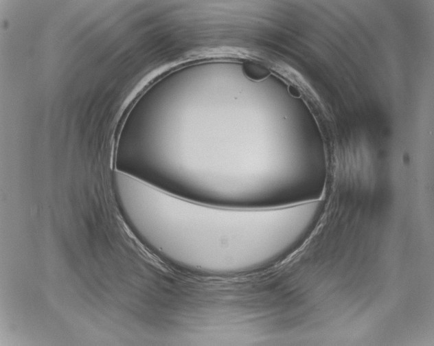 X0000068281228200604210907