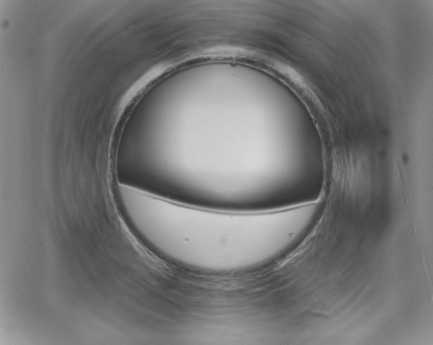 X0000068281229200604210907