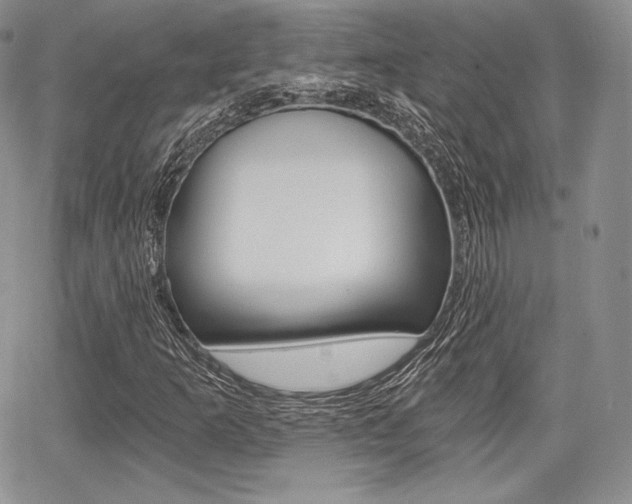 X0000068281253200604210907