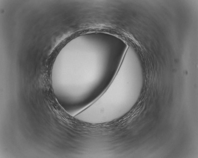 X0000068281256200604210907