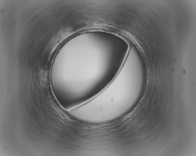 X0000068281260200604210907