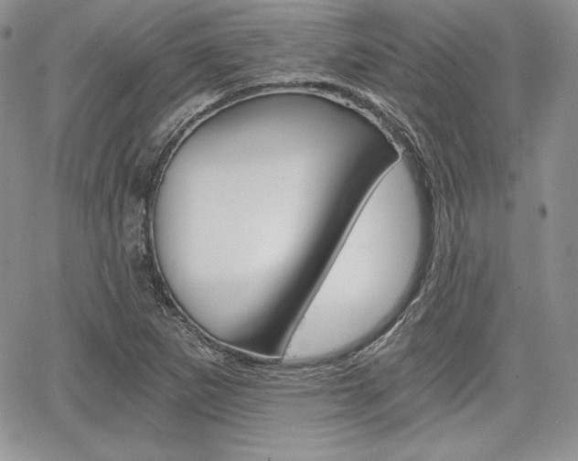 X0000068281265200604210907